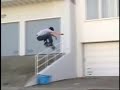 Birdhouse Creation Pro Skaters