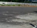 stilo cachorro a ekip nos grau