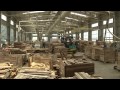 Silvicultura e ind�stria florestal para uma Economia Verde-4min33
