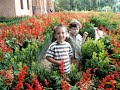 David, Radu si Taisa la Mogosoaia