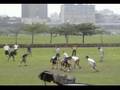 TAFFA PENALTIES