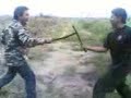 perang mendala sawit