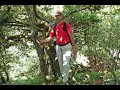 Recorriendo el bosque de tejos de la S� del Sueve (Asturias) 07/08/08
