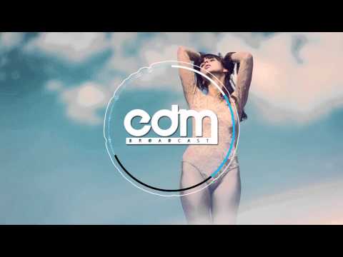 Viceroy feat. Penguin Prison - The Life (Dave Edwards Remix)