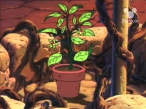 El+Oso+Kisifur ... oso kisifur - Videos | Videos relacionados con ver caricaturas oso