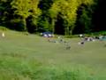 Farmfest 2008