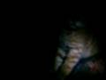 videos de my catz ♥ =]]]