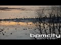 Click here to watch this video LES OISEAUX MIGRATEURS SONT EN AVANCE