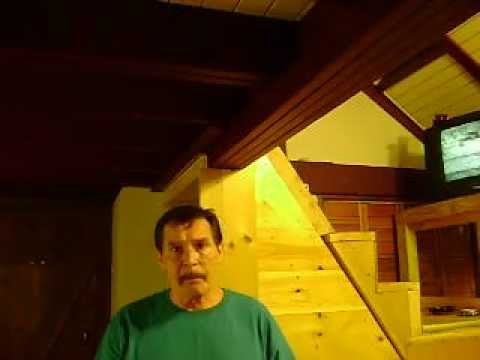 how to repair tree bark