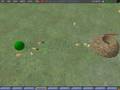 Ants in Second Life
