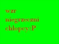 wzr niegrzeczni chłopcy