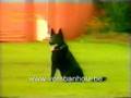 Pike von der Schafbachmuhle - Protection