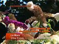 La Mare Wine Estate