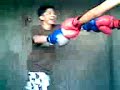 sts boxing