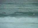 fun day surfing