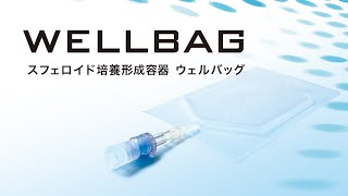 動画のサムネイル