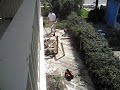Building a Fence
