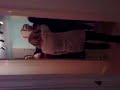 drunken nan dancing to drum and bass drunken nan dancing to drum and bass