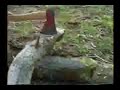 Video 3 - Grupo Scout Fatima - Rio Cuarto (Campa 92 - 93)