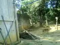 MOV00305