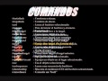 TUTORIAL MACROS GUERRERO ARMAS part 1