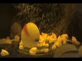 Degassing Wine with Boiling Stones Degassing Wine with Boiling Stones