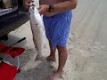 Really tanned guy catches a Drum fish in Hatteras NC Really tanned guy catches a Drum fish in Hatteras NC
