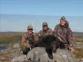 A Newfoundland Bear Hunt