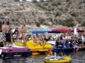 Humbug Cove Panorama
