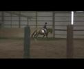 Wesley--Large Green Pony