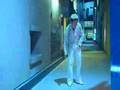  - MovieZen Video