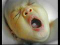videos de IKLAS 3 Month
