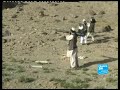 Pour les Taliban, l?ennemi est aussi français Pour les Taliban, l?ennemi est aussi français