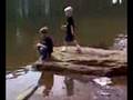 videos de More Geese