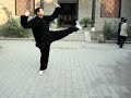 Banhou Shisan Lu (13 ways) Paochui