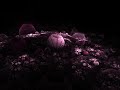 Top Electro Music 2011 August (The best)