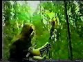 Teh Funneh Immortal Teh Funneh Immortal