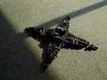 Starfish Self Modeling Robot