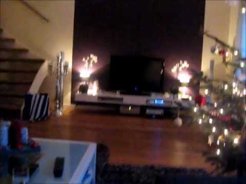 bengaalse tijgerkat - Marley doet een hond na ;) Muziek: Hempenberg - Acid Disco Plastic Electro.