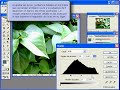 Tutorial Photoshop 022 Niveles salida Tutorial Photoshop 022 Niveles salida