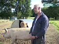 Compassion in World Farming -- Foot and Mouth 09.08.2007