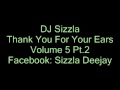 DJ SIZZLA THANK YOU FOR YOUR EARS VOLUME 5 (PART 2)