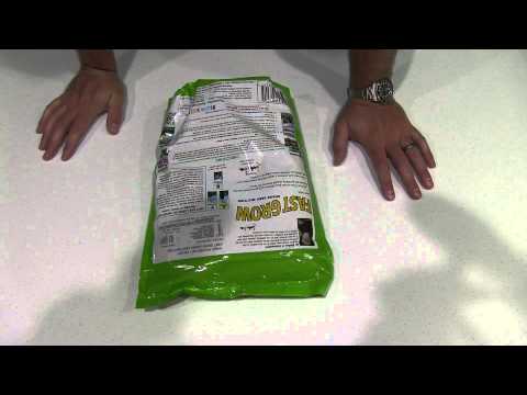 how to grow grass fast