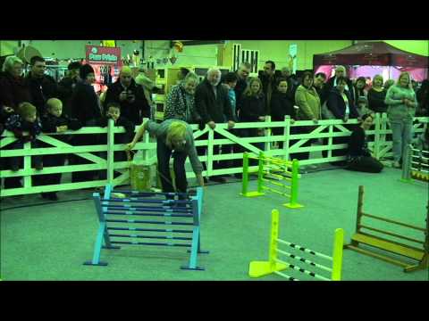 grand national 2012 grand national 2012