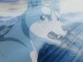 ginga densetsu weed 15 3/3