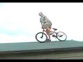 bmx of shed bmx of shed