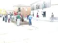 Vaca enmaromada Palazuelo de vedija