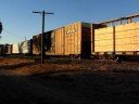 UP 5190 quality manifest freight south [HQ]