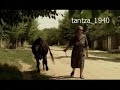 Muzeul Satului Ad