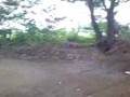 bmx in mg